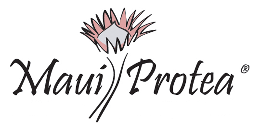 Maui Protea